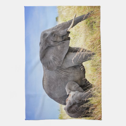 Kutest Baby Animals | Afrikaanse olifant en moeder Theedoek