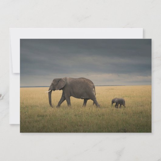 Kutest Baby Animals | Afrikaanse olifantenfamilie Bedankkaart (Voorkant)