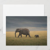 Kutest Baby Animals | Afrikaanse olifantenfamilie Bedankkaart (Voorkant / Achterkant)