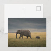 Kutest Baby Animals | Afrikaanse olifantenfamilie Briefkaart (Voorkant / Achterkant)