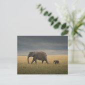 Kutest Baby Animals | Afrikaanse olifantenfamilie Briefkaart (Staand voorkant)