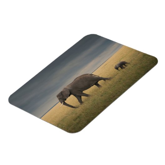 Kutest Baby Animals | Afrikaanse olifantenfamilie Magneet (Linkerzijde)