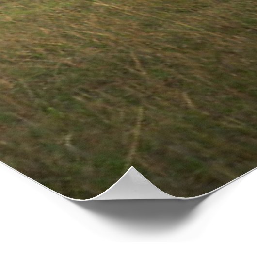 Kutest Baby Animals | Afrikaanse olifantenfamilie Poster (Hoek)