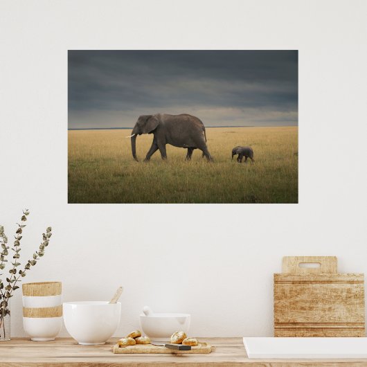 Kutest Baby Animals | Afrikaanse olifantenfamilie Poster (Keuken)