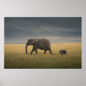 Kutest Baby Animals | Afrikaanse olifantenfamilie Poster (Voorkant)