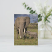 Kutest Baby Animals | Amama-olifant met Baby Briefkaart (Staand voorkant)
