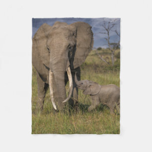 Kutest Baby Animals Amama-olifant met Baby Fleece Deken