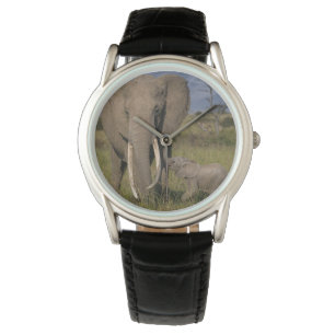 Kutest Baby Animals   Amama-olifant met Baby Horloge