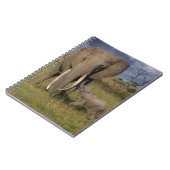 Kutest Baby Animals | Amama-olifant met Baby Notitieboek (Linkerzijde)