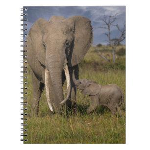 Kutest Baby Animals   Amama-olifant met Baby Notitieboek
