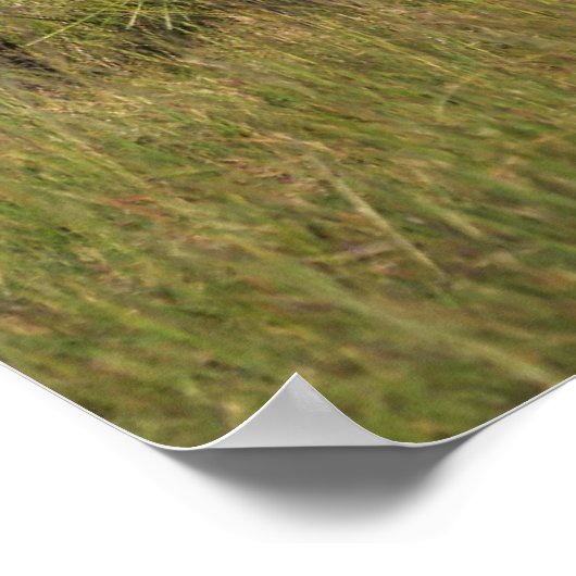 Kutest Baby Animals | Amama-olifant met Baby Poster (Hoek)