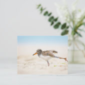 Kutest Baby Animals | Amerikaanse Oystercatcher Ch Briefkaart (Staand voorkant)