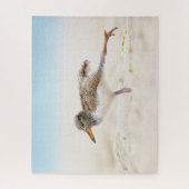 Kutest Baby Animals | Amerikaanse Oystercatcher Ch Legpuzzel (Verticaal)