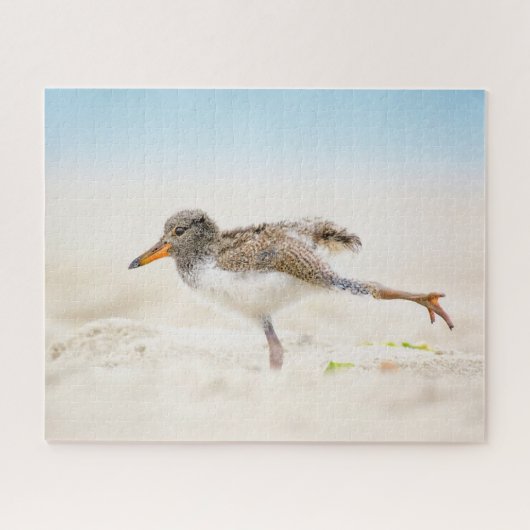 Kutest Baby Animals | Amerikaanse Oystercatcher Ch Legpuzzel (Horizontaal)