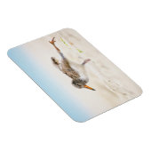 Kutest Baby Animals | Amerikaanse Oystercatcher Ch Magneet (Rechterzijde)