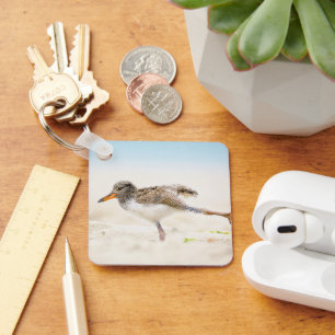 Kutest Baby Animals Amerikaanse Oystercatcher Ch Sleutelhanger