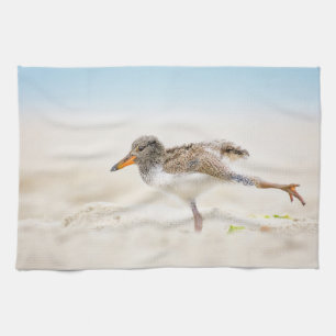 Kutest Baby Animals Amerikaanse Oystercatcher Ch Theedoek
