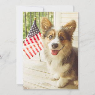 Kutest Baby Animals   Amerikaanse vlag Corgi Bedankkaart