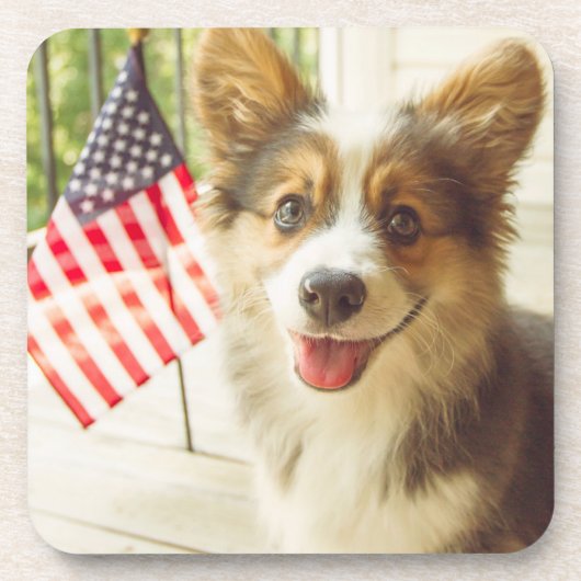 Kutest Baby Animals | Amerikaanse vlag Corgi Bier Onderzetter (Voorkant)