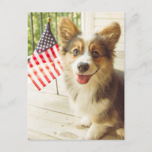 Kutest Baby Animals   Amerikaanse vlag Corgi Briefkaart