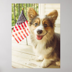 Kutest Baby Animals   Amerikaanse vlag Corgi Poster