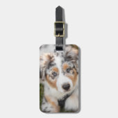 Kutest Baby Animals | Australische schapenhouderij Bagagelabel (Voorkant verticaal)