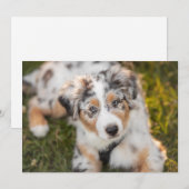 Kutest Baby Animals | Australische schapenhouderij Bedankkaart (Voorkant / Achterkant)