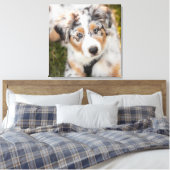 Kutest Baby Animals | Australische schapenhouderij Canvas Afdruk (Insitu (Slaapkamer))
