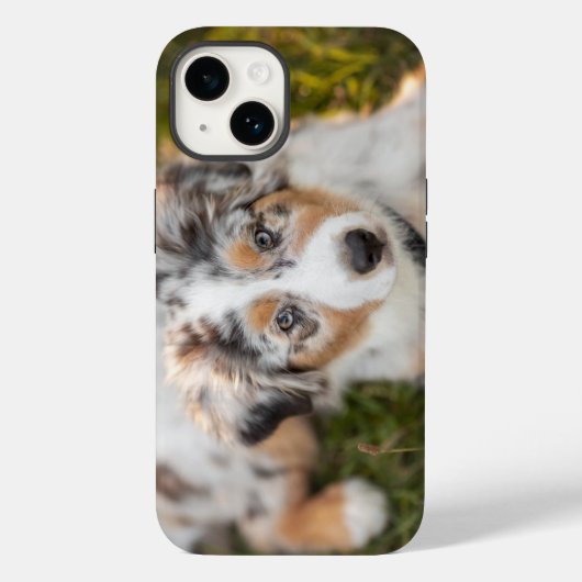 Kutest Baby Animals | Australische schapenhouderij Case-Mate iPhone Case (Achterkant)