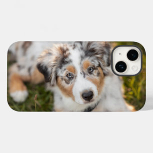 Kutest Baby Animals Australische schapenhouderij Case-Mate iPhone 14 Hoesje