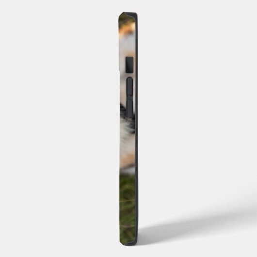 Kutest Baby Animals | Australische schapenhouderij Case-Mate iPhone Case (Achterkant / Links)