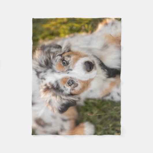 Kutest Baby Animals | Australische schapenhouderij Fleece Deken (Voorkant)