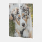 Kutest Baby Animals | Australische schapenhouderij Glas Ornament (Voorkant links)