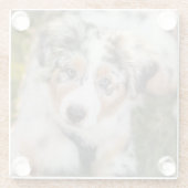 Kutest Baby Animals | Australische schapenhouderij Glazen Onderzetter (Achterkant)