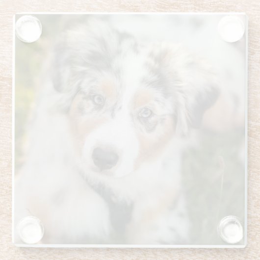 Kutest Baby Animals | Australische schapenhouderij Glazen Onderzetter (Achterkant)