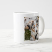 Kutest Baby Animals | Australische schapenhouderij Grote Koffiekop (Voorkant rechts)