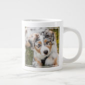 Kutest Baby Animals | Australische schapenhouderij Grote Koffiekop (Rechts)