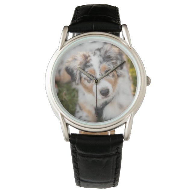 Kutest Baby Animals | Australische schapenhouderij Horloge (Voorkant)
