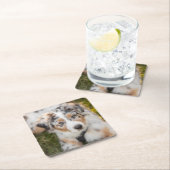 Kutest Baby Animals | Australische schapenhouderij Kartonnen Onderzetters (Insitu)