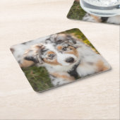 Kutest Baby Animals | Australische schapenhouderij Kartonnen Onderzetters (Schuin)