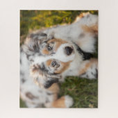 Kutest Baby Animals | Australische schapenhouderij Legpuzzel (Verticaal)