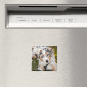 Kutest Baby Animals | Australische schapenhouderij Magneet (Insitu (Vaatwasser))