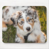 Kutest Baby Animals | Australische schapenhouderij Muismat (Voorkant)