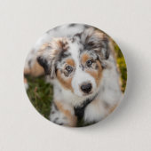 Kutest Baby Animals | Australische schapenhouderij Ronde Button 5,7 Cm (Voorkant)