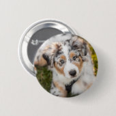 Kutest Baby Animals | Australische schapenhouderij Ronde Button 5,7 Cm (Voorkant /achterkant)