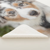 Kutest Baby Animals | Australische schapenhouderij Sherpa Deken (3/4)