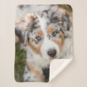 Kutest Baby Animals | Australische schapenhouderij Sherpa Deken (Voorkant)