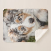 Kutest Baby Animals | Australische schapenhouderij Sherpa Deken (Voorkant (horizontaal))