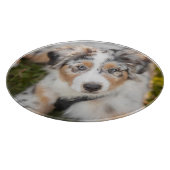 Kutest Baby Animals | Australische schapenhouderij Snijplank (Hoek)