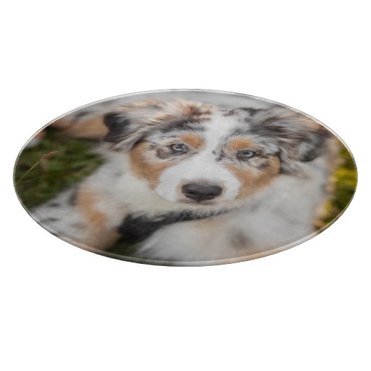 Kutest Baby Animals | Australische schapenhouderij Snijplank (Hoek)